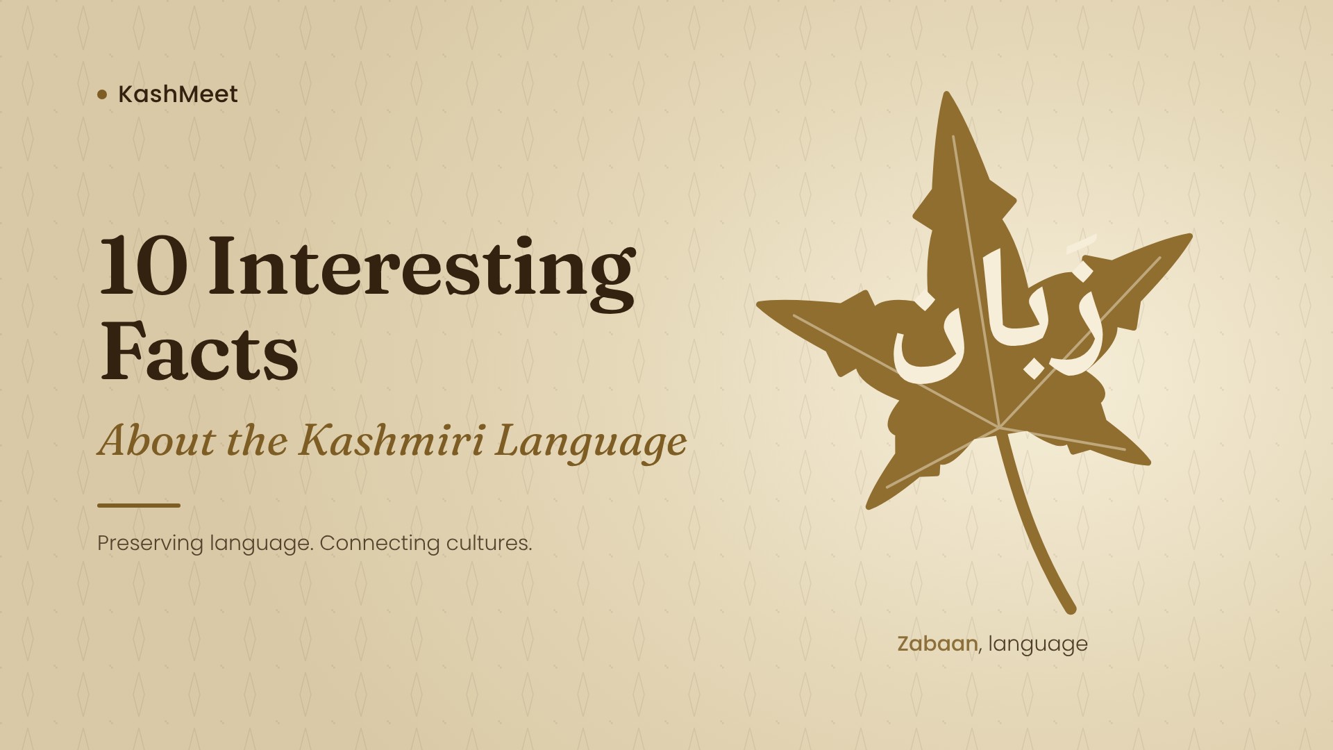 Kashmiri language heritage represented through traditional Kashmiri architecture, manuscripts, and the landscapes of Kashmir