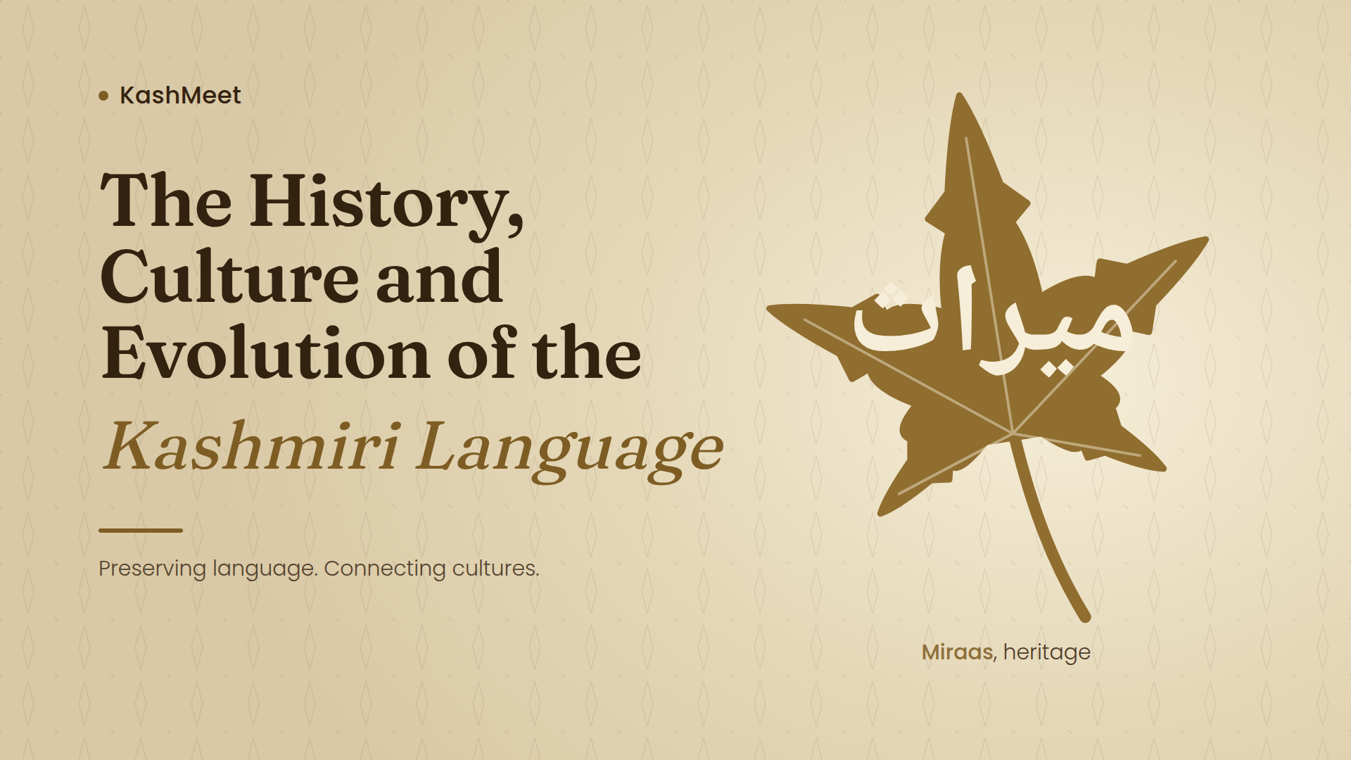 Kashmiri language history and culture in Kashmir