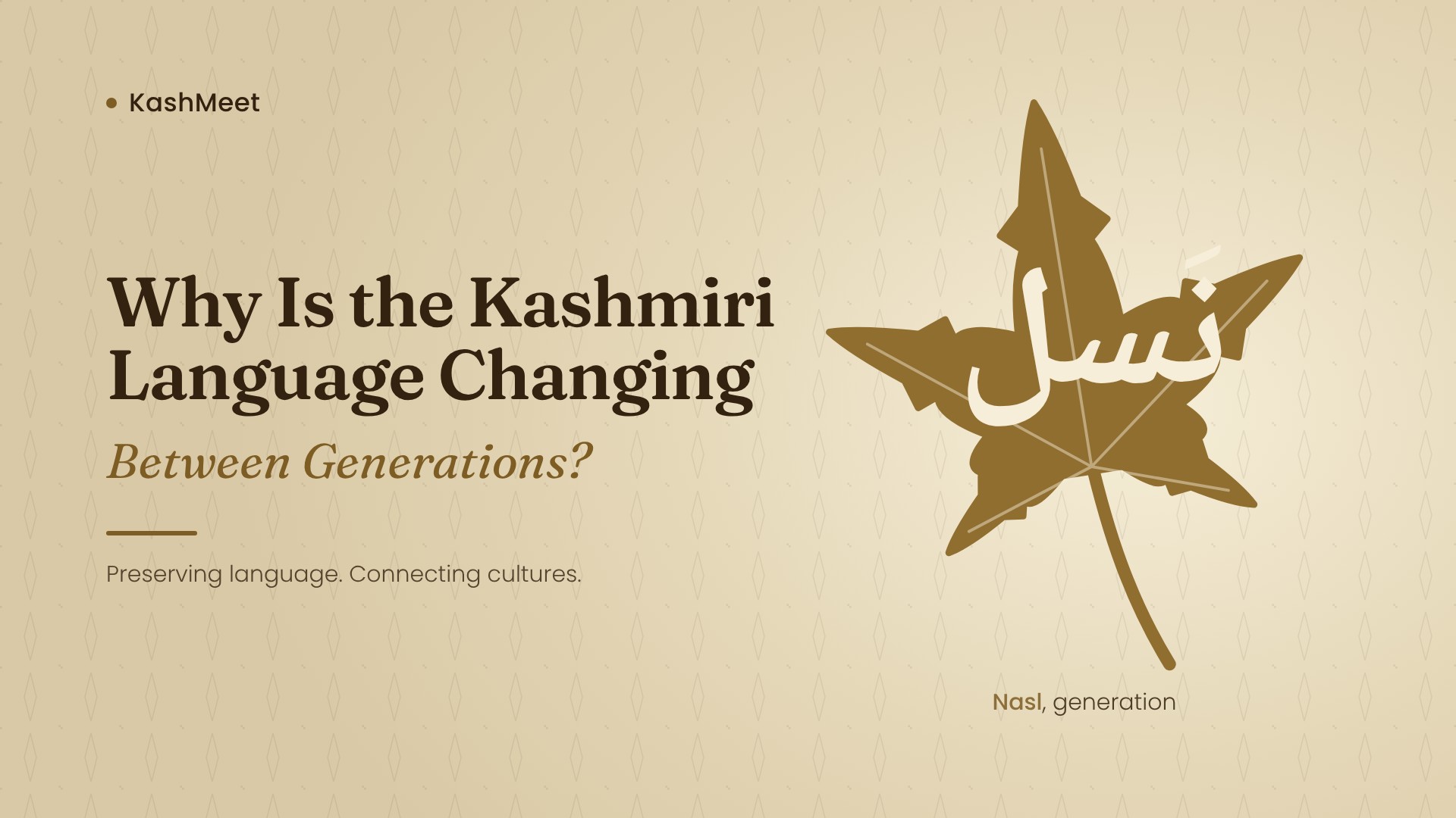 Why Is the Kashmiri Language Changing Between Generations?