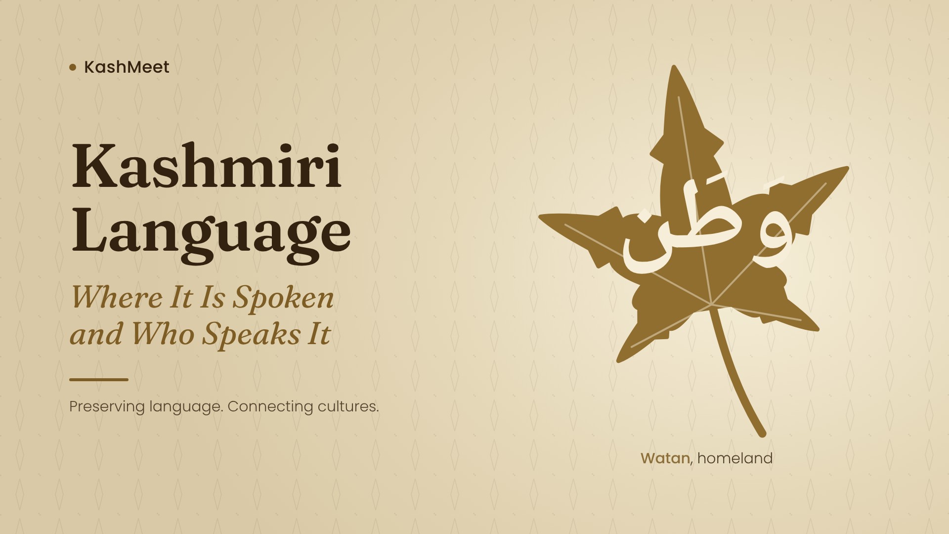 Kashmiri language and cultural heritage in the Kashmir Valley