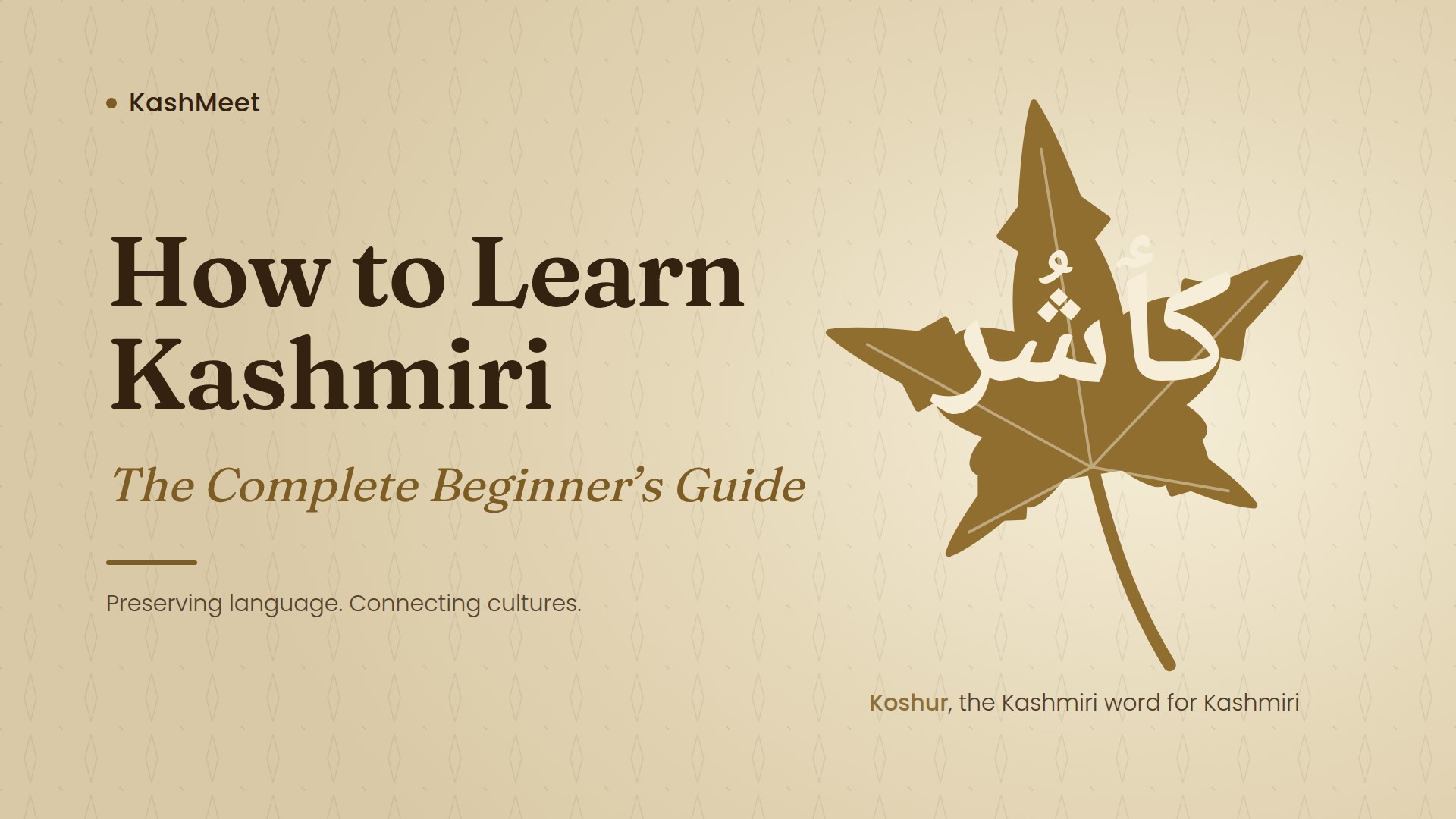 learn Kashmiri with a native Kashmiri tutor