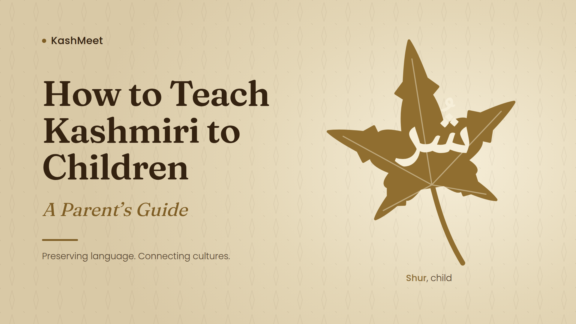 teach Kashmiri to children through everyday family activities