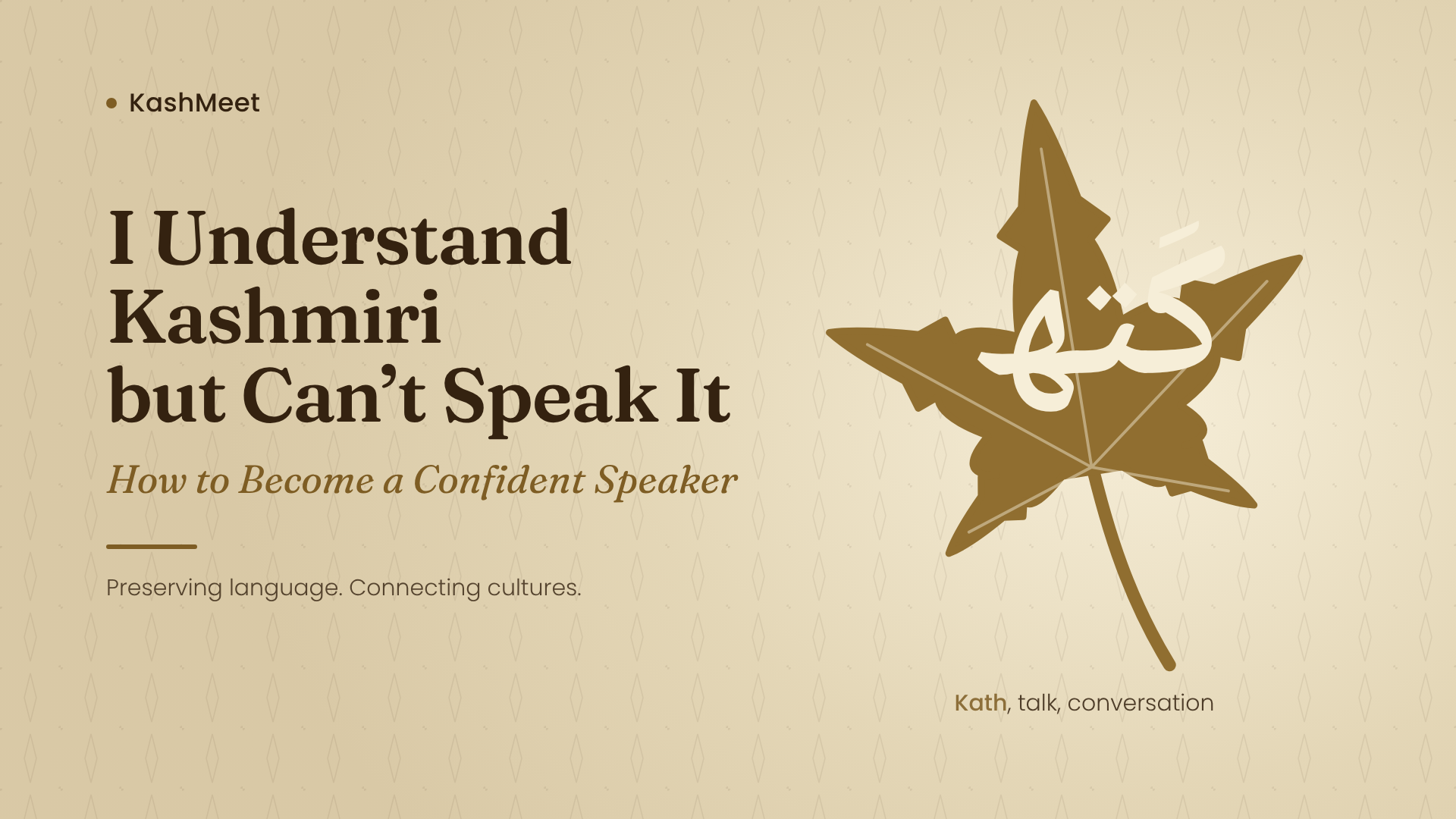 I Understand Kashmiri but Can’t Speak It: A Practical Guide